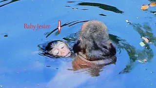 OMG! Mom Jinx is taking baby for a swim without knowing baby Jester is drowning.
