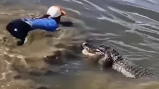 Florida lady jumps into alligator infested pond 🐊😱