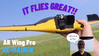 ARWing Pro - This Sucker's Fun!  - Second Maiden