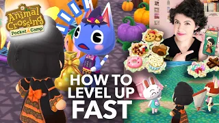 Animal Crossing: POCKET CAMP | Tips to Level Up Quickly!