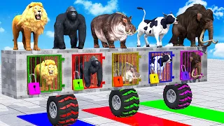 Cow Mammoth Elephant Gorilla Love Lion Guess The Right Key ESCAPE ROOM CHALLENGE Animals Tire Game