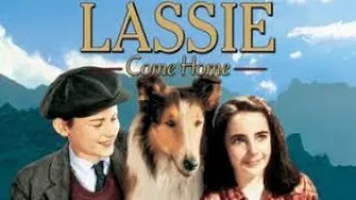 Lassie Come Home | Lassie se vraća kući 1943 SA PRIJEVODOM