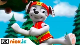 Paw Patrol | Pups Save Sensei Yumi | Nick Jr. UK