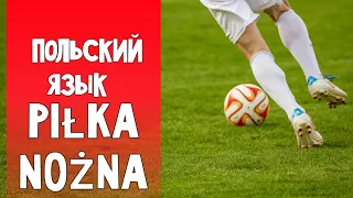 73 Футбол. Польский язык самостоятельно