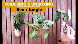 Ordering & Unboxing Houseplants from BEN'S JUNGLE