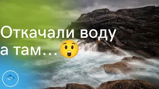 Рыбалка | Откачали воду и собрали рыбу. Увлекательный улов!