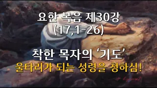 요한 복음 제30강/ 17,1-26/ 착한 목자의 '기도' - 울타리가 되시는 성령을 청하심/ 전삼용 요셉 신부