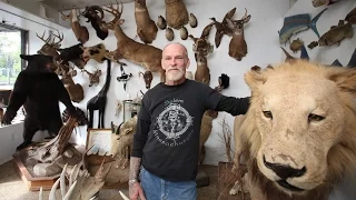 The Last Taxidermist In New York