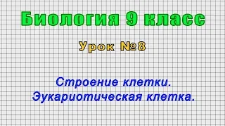 Биология 9 класс (Урок№8 -Строение клетки. Эукариотическая клетка.)