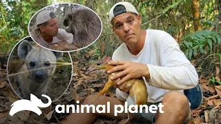 Frank conoce a tres especies tan adorables, como peligrosas | Wild Frank | Animal Planet