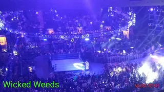 Undertaker MSG 9/10/19