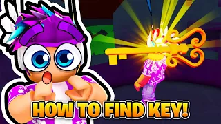 ROBLOX PET CATCHERS HOW TO FIND THE SECRET MAGMA GATE KEY