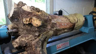 Woodturning - Hidden Treasure Inside a Tree Root