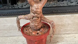 Gemmy Industries Animated Haunted Planters: Mandrake (Unreleased Prototype)