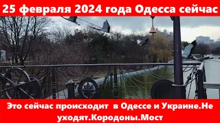 25 февраля 2024 года Одесса сейчас.Это сейчас происходит  в Одессе и Украине.Не уходят.Кородоны.Мост