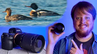 Using a 500mm Mirror Lens for Nature Photography