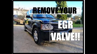EGR VALVE DELETE Range Rover L322 TD6 M57 BMW engine EGR valve removal and test run.