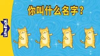 What's Your Name? (你叫什么名字？) | Learning Songs 2 | Chinese song | By Little Fox