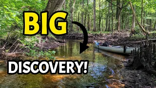 MASSIVE Discovery While Fossil Hunting & Rockhounding in a Beautiful Florida River!