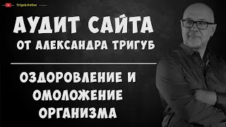 Аудит сайта по оздоровлению и омоложению организма. Анализ сайта на ошибки. Пример аудита сайта.