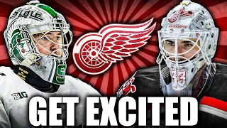 RED WINGS FANS ARE IN FOR A REAL TREAT (Detroit Top Prospects News)