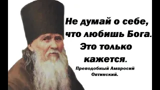 Тебе только кажется, что любишь Бога. Это от гордости и высокоумия. Преподобный Амвросий Оптинский.