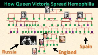 Family Tree: How Queen Victoria Spread Hemophilia into European Royalty (& Their Tragic Deaths)