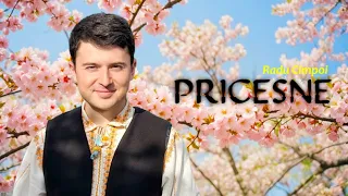 Radu Cimpoi - Pricesne