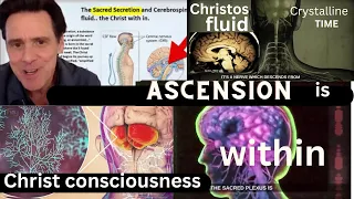 This Is The Sacred Secret" | INSTANT THIRD EYE ACTIVATION! CHRISTOS /Christ Consciousness Ascension!