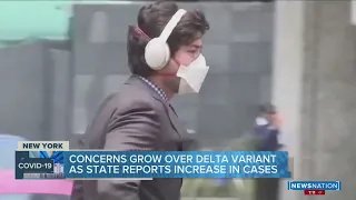 Concerns grow over delta variant as New York reports increase in cases