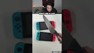 Nintendo Switch Cake or Fake Challenge