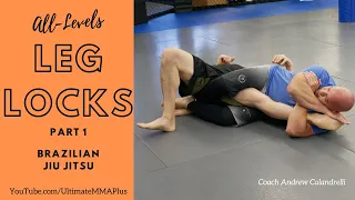 Kneebar from top Half Guard : Leg Locks for All Levels Part 1