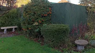 Full Garden Makeover