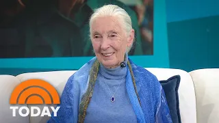 Jane Goodall on turning 90, what she'd like her legacy to be