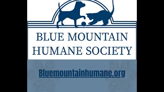 A look into Blue Mountain Humane Society