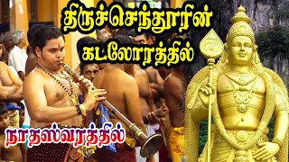 Thiruchendoorin Kadalorathil | திருச்செந்தூரின் கடலோரத்தில் | Deivam | Nadhaswaram | Cover | TMS