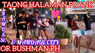 TAONG HALAMAN PRANK OR BUSHMAN PH: F. RAMOS ST. & MANDAUE CITY". CELEBRATING VALENTINE'S DAY.