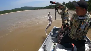 Travesia de la carpa Guaviare a el raudal del guayabero pesca con caña y la mejor carnada del mundo.