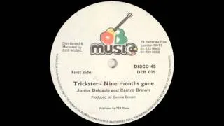 12'' Junior Delgado & Castro Brown - Trickster (& 9 Months Gone)