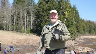 Tree Planting at Beaver Brook