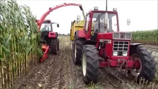 CASE-IH 956 XL, 844 XL, 633 A - Maishäckseln 2017 (SOUND)!!!