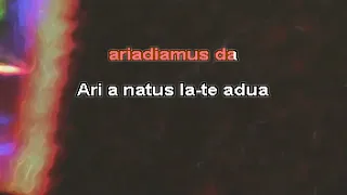 Karl Jenkins - Adiemus (karaoke instrumental  lyrics wbgv) - RAFM Oddball Karaoke