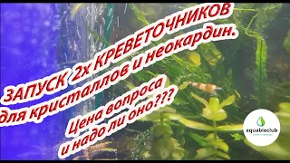 Запуск 2х креветочников для кристаллов и  неокардин. Цена вопроса и проблем.