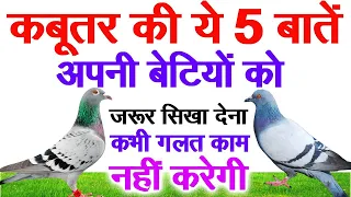 कबूतर की पांच बातें अपनी बेटियों को/ पुत्रियों को जरूर सिखाएं  PigeonStory @SabhyaKahaniyan