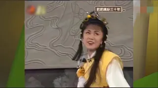 肥姐演小龍女, 盧海鵬演楊過, 李香琴演尹志平, 搞笑版《神經俠侶》