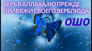 №2. ВЕРЬ  в Аллаха, но ПРЕЖДЕ привяжи своего верблюда. ОШО. Мудрость Песков. Беседы о Суфизме