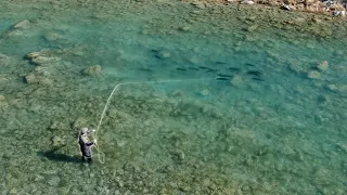 Fly Fishing For the BIGGEST TROUT in The World!