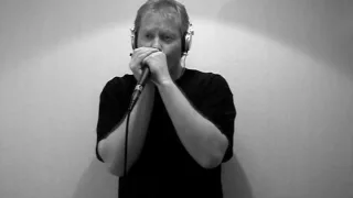 Roadhouse Blues - The Doors - Rock Harmonica