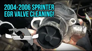 EGR Valve Replacement/Cleaning - T1N Sprinter (2004-2006)