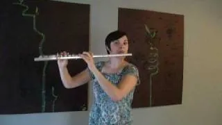 Flute Beatboxing - Theme from Mario Brothers